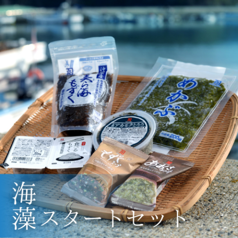 【初回限定】海藻スタートセット