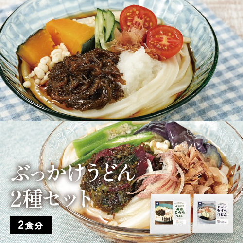 ぶっかけうどん2種セット(2食分)