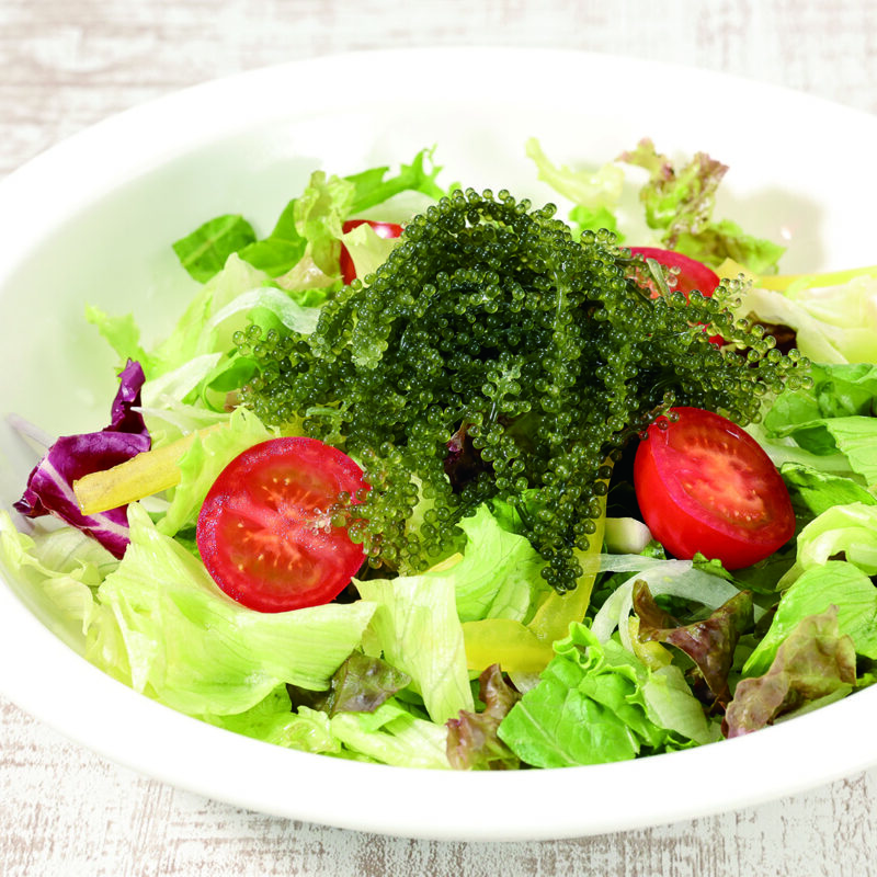 熊本県産　海ぶどう（新聞広告A2940）