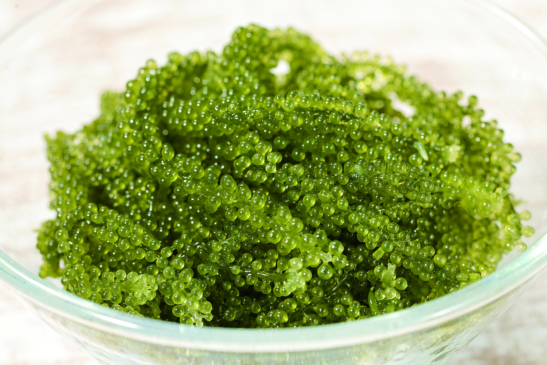 熊本県産 海ぶどう（新聞広告A2940） | OKAGESAMA（おかげさま