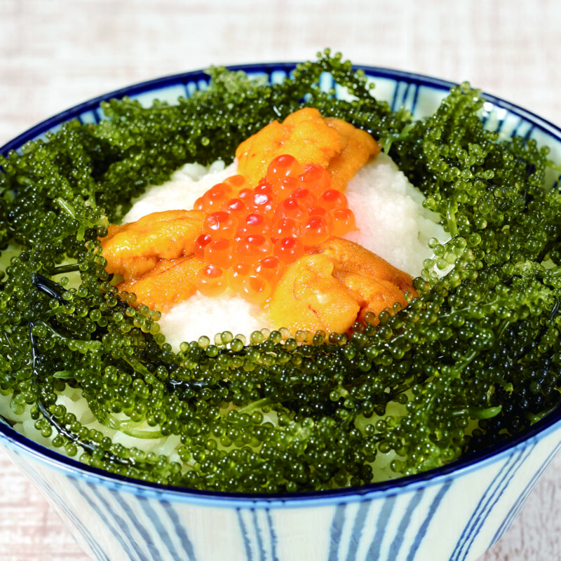 熊本県産　海ぶどう（新聞広告A2940）