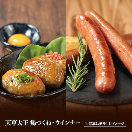 【お歳暮2025】熊本プレミアムブランド肉セット（海藻サラダ、専用たれ付き）【贈答用】