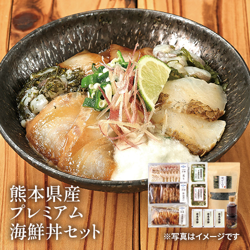 熊本県産プレミアム海鮮丼セット【DM860】