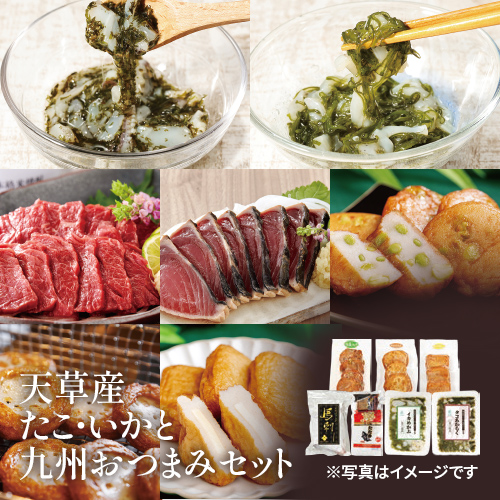 天草産たこ・いかと九州おつまみセット